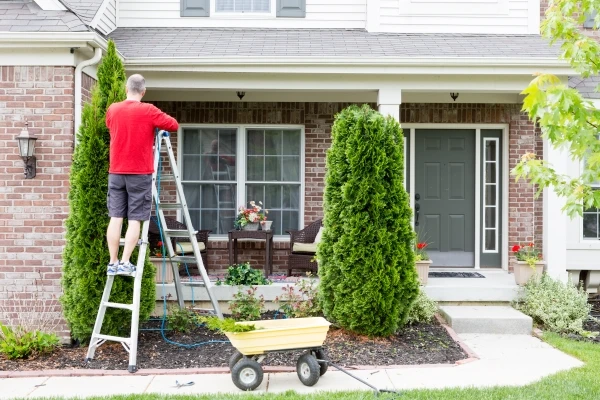 Man in a red shirt on a ladder trimming tree in front yard of a residential home.